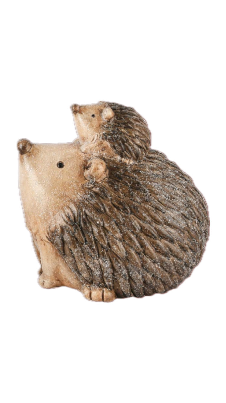 Riccio con cucciolo