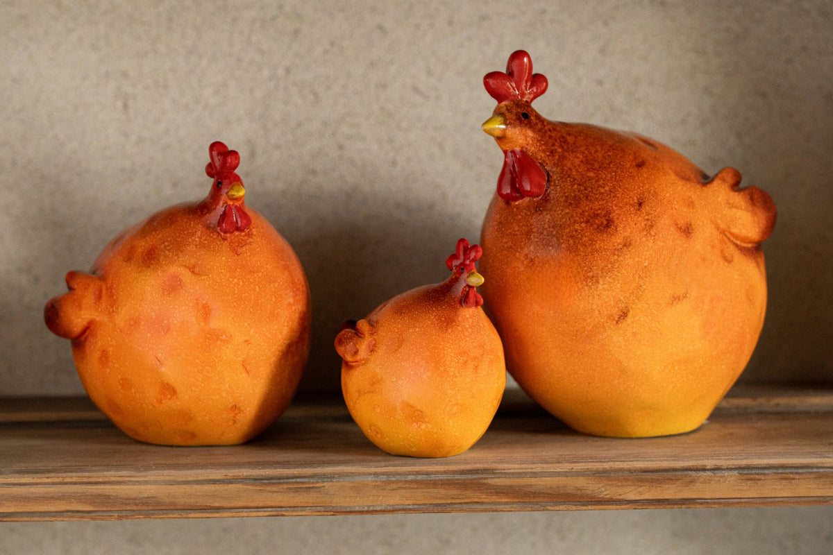 Gallo arancione