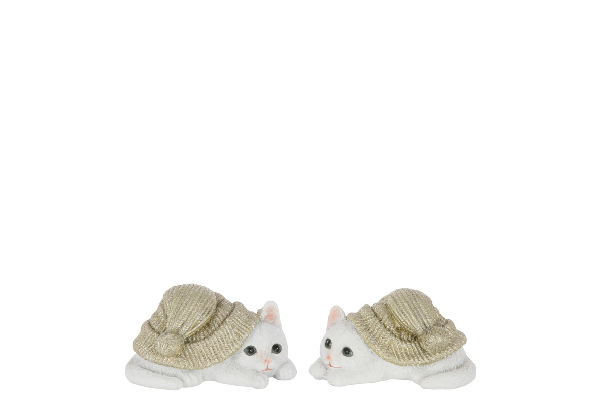 Gatto con cappello