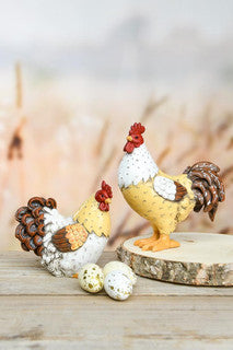 Gallo e gallina giallo e marrone