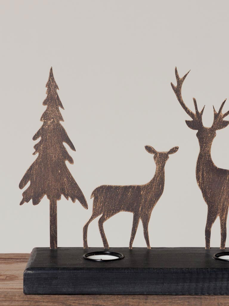 Portacandela foresta