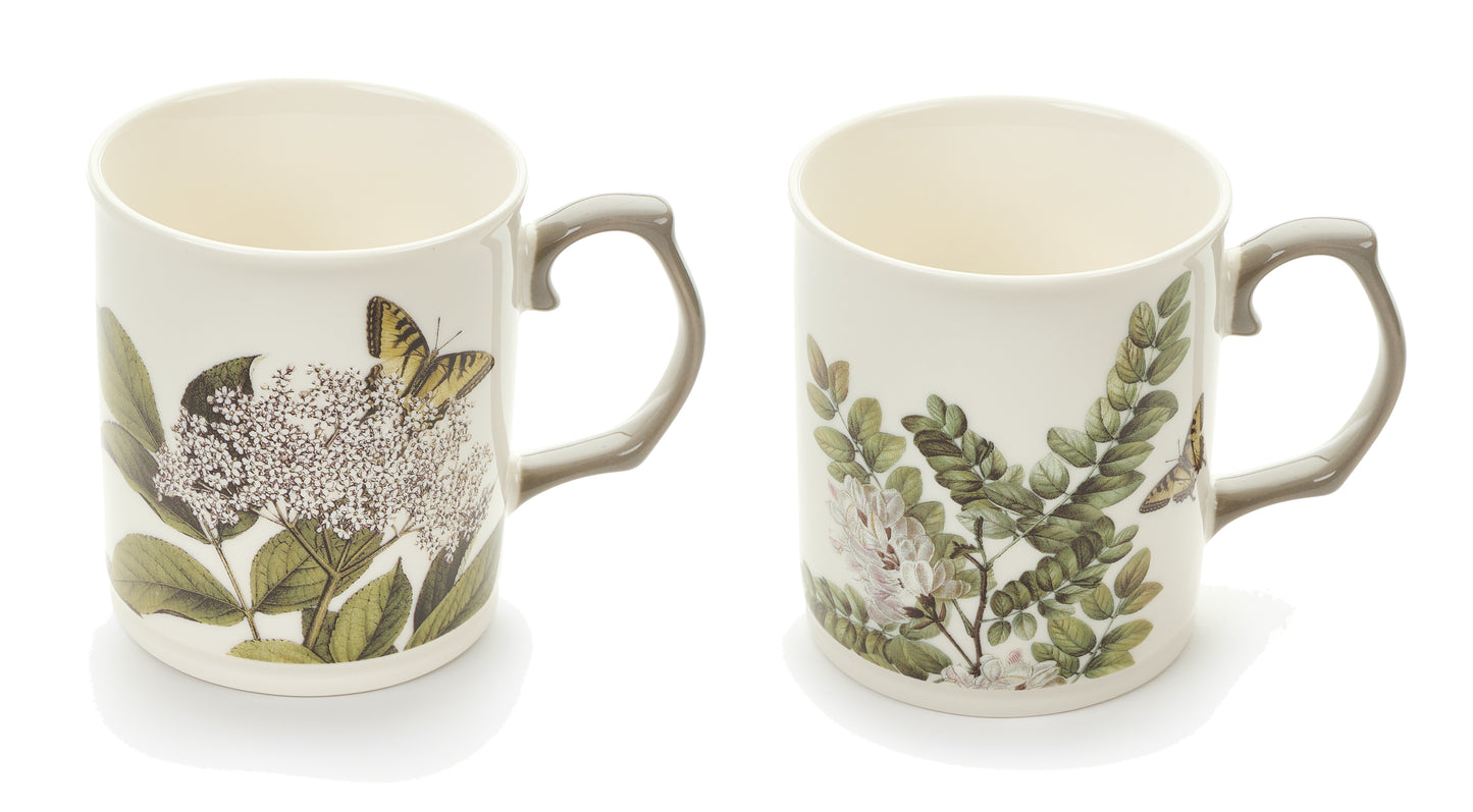 Herbarium - Mug