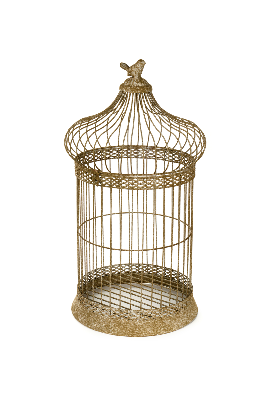 Garden Flower - Gabbia