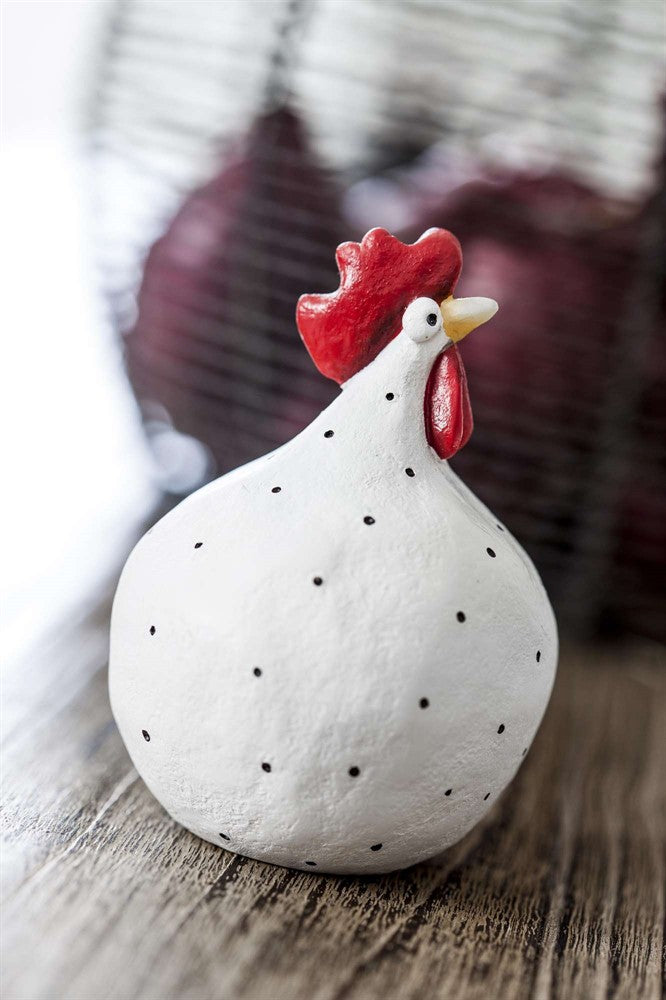 Gallina grande bianca