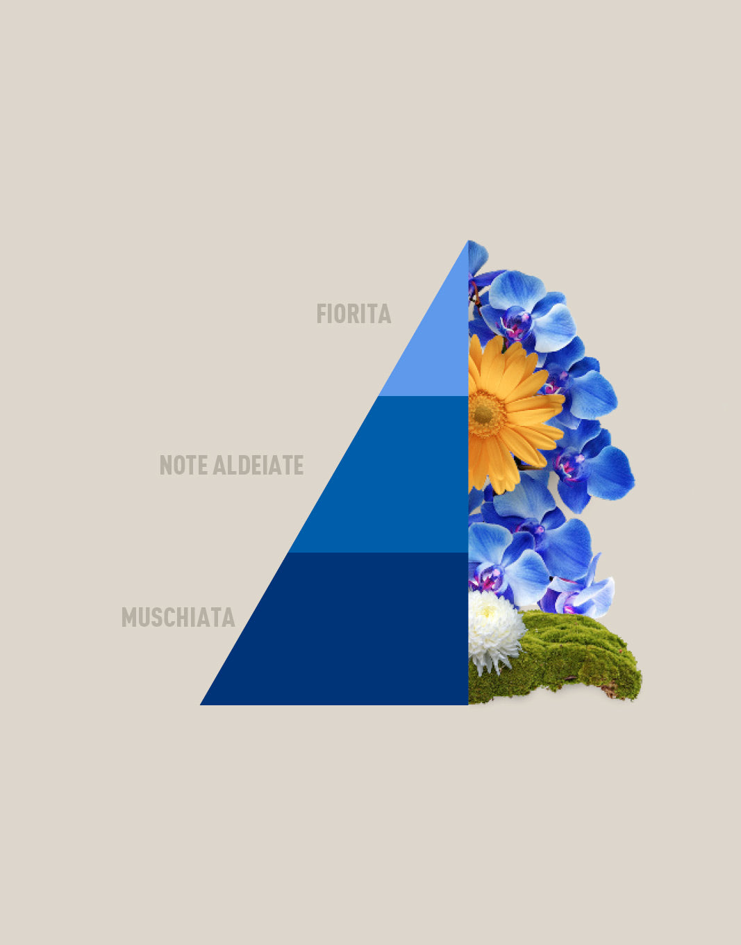 Profumabucato - Blue Fior di loto