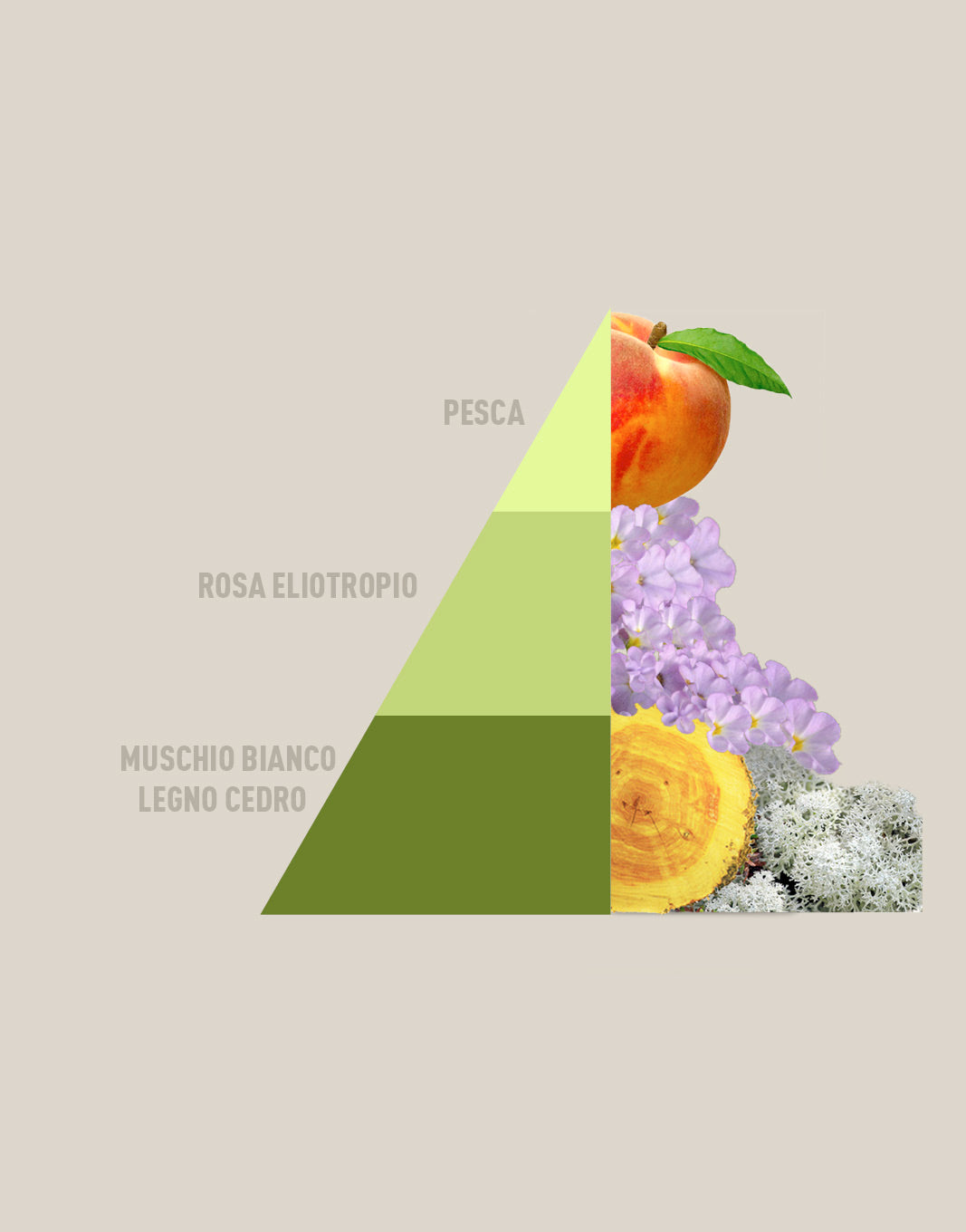 Profumabucato - Musica del sole