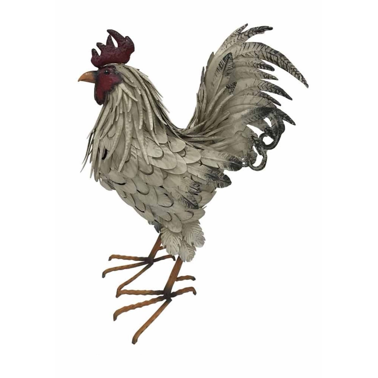 Gallo effetto cerato