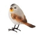 Uccellino Robin