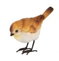 Uccellino Robin