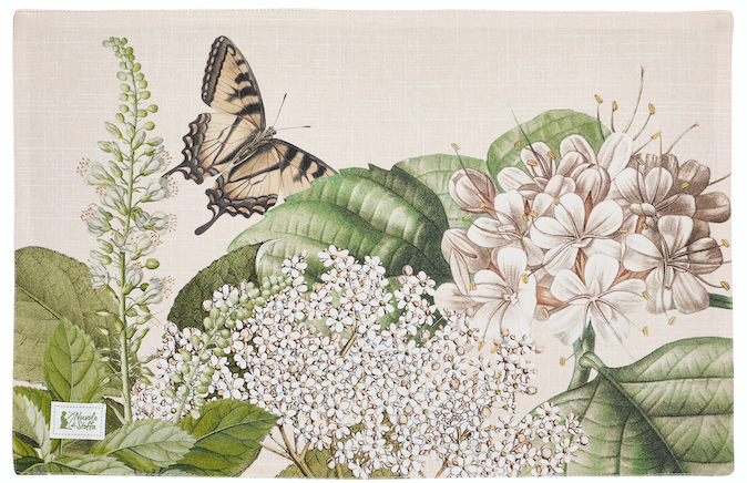 Herbarium - Tovaglietta americana