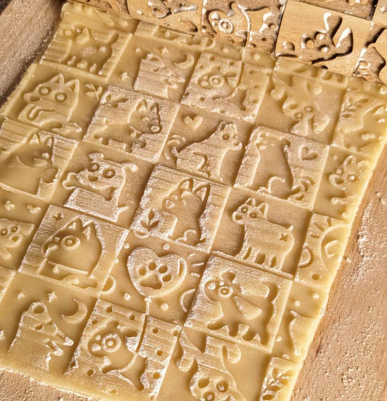 Matterello squares cani