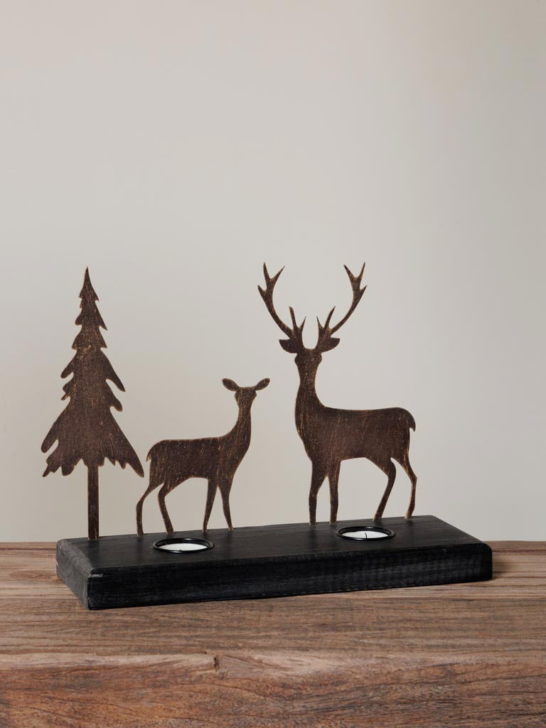 Portacandela foresta