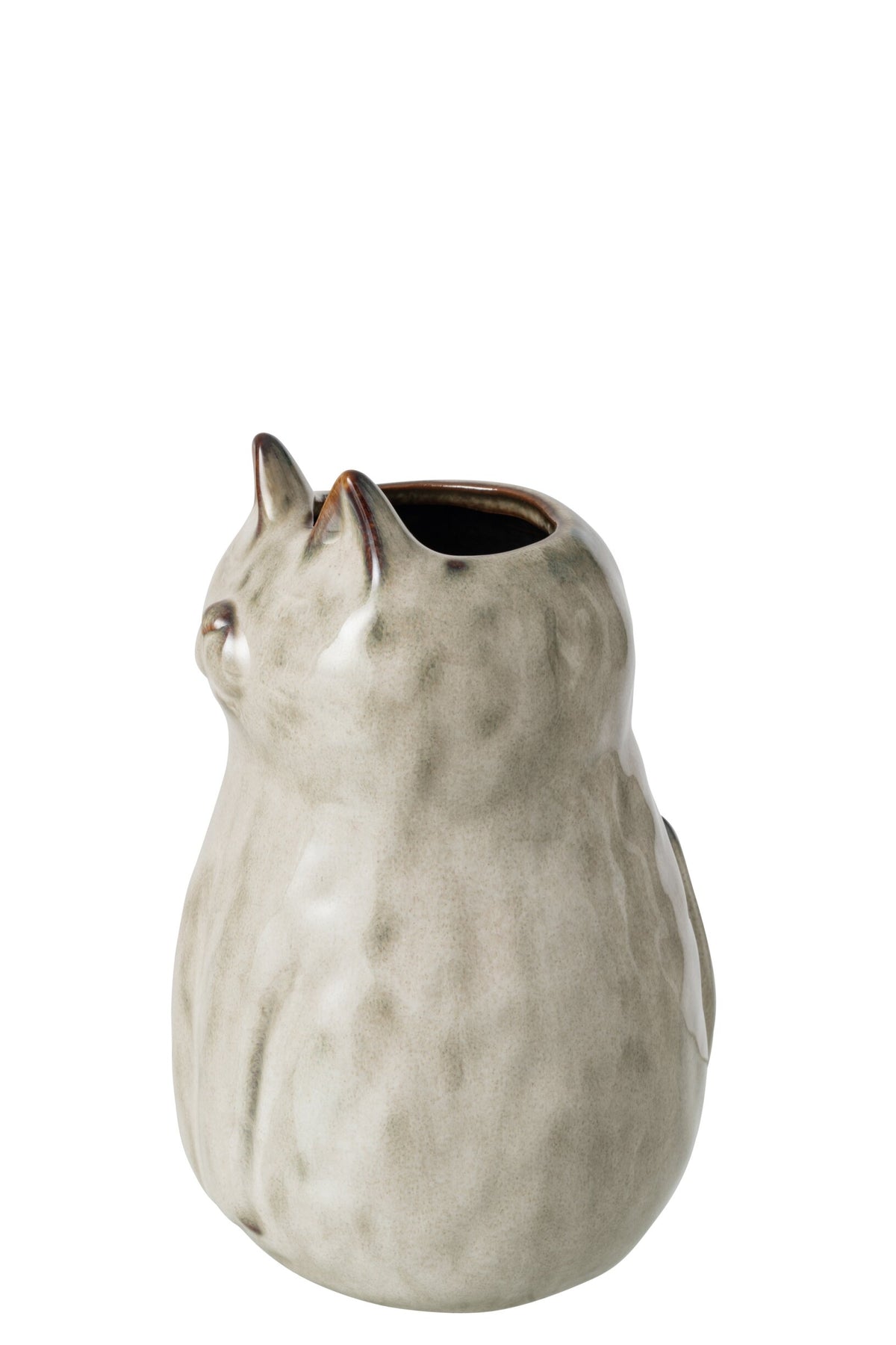 Vaso gatto