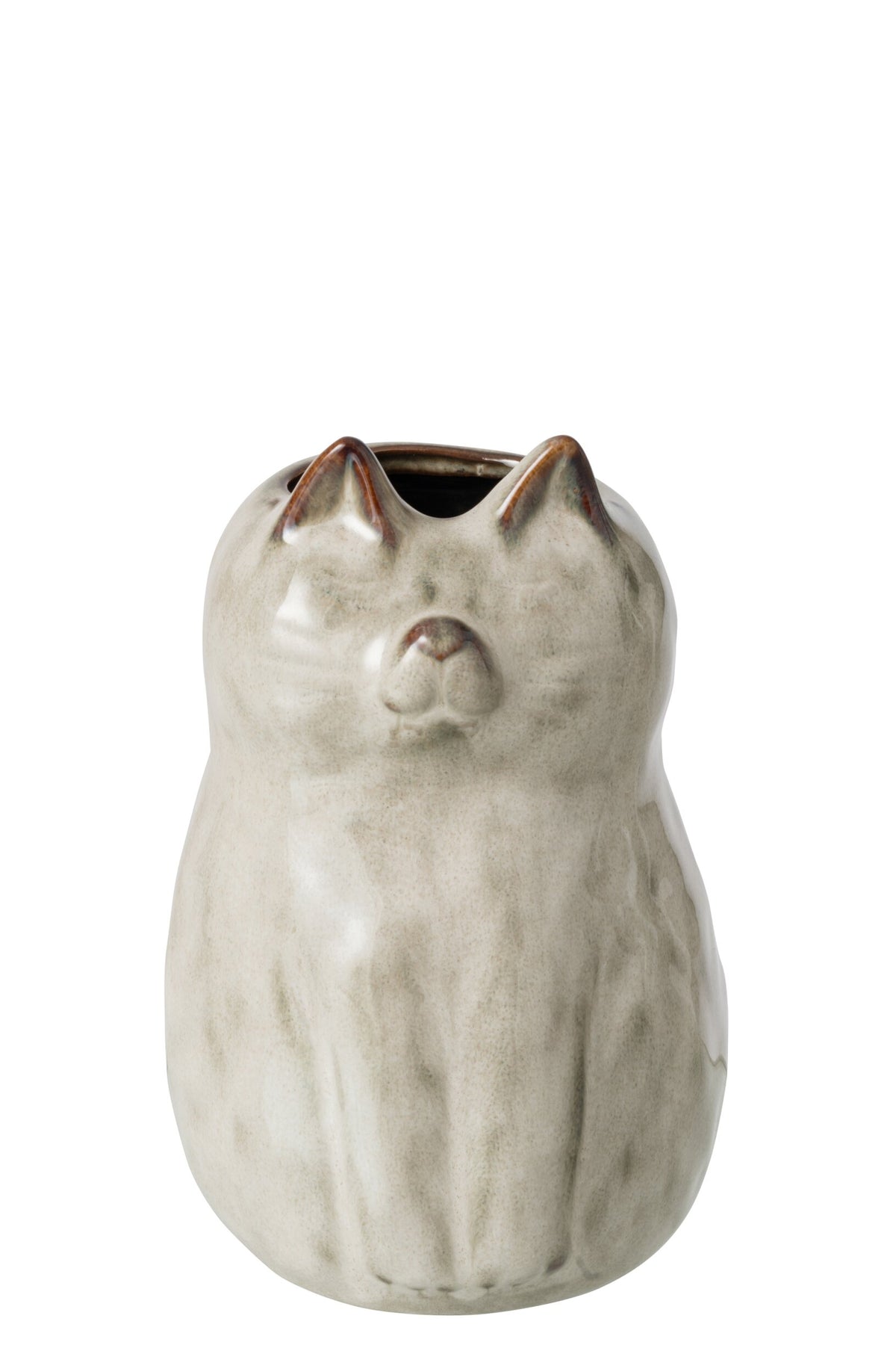Vaso gatto