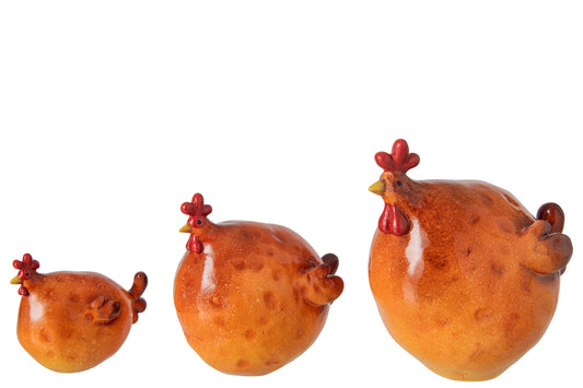 Gallo arancione