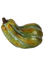 Zucca allungata