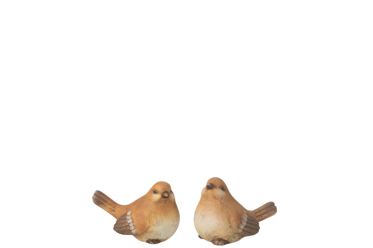 Uccello marrone