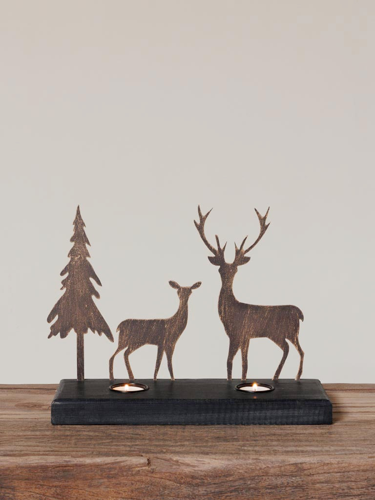 Portacandela foresta