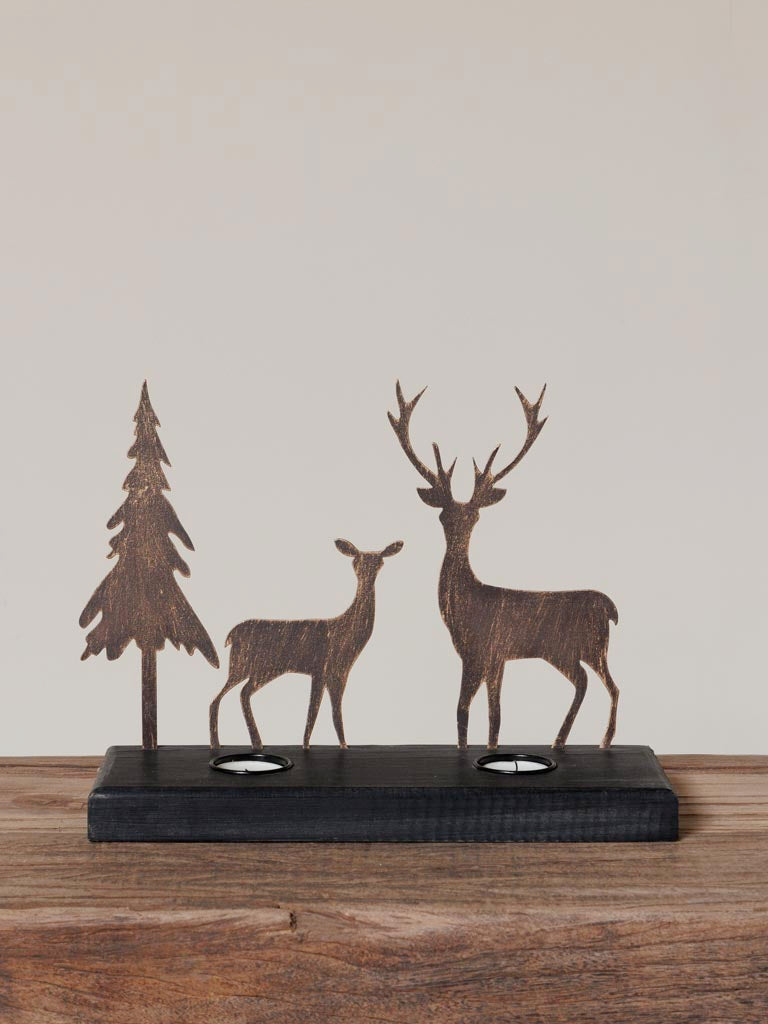 Portacandela foresta