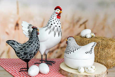 Gallo nero a macchie bianche