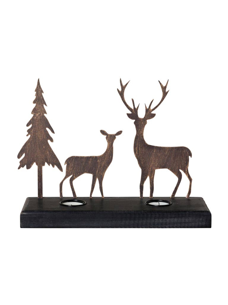 Portacandela foresta