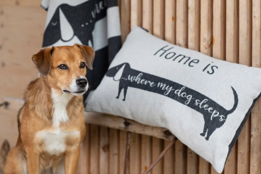 Home is where my dogs sleeps - Fodera cuscino