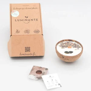 Luminante - Candela profumata lavanda e eucalipto