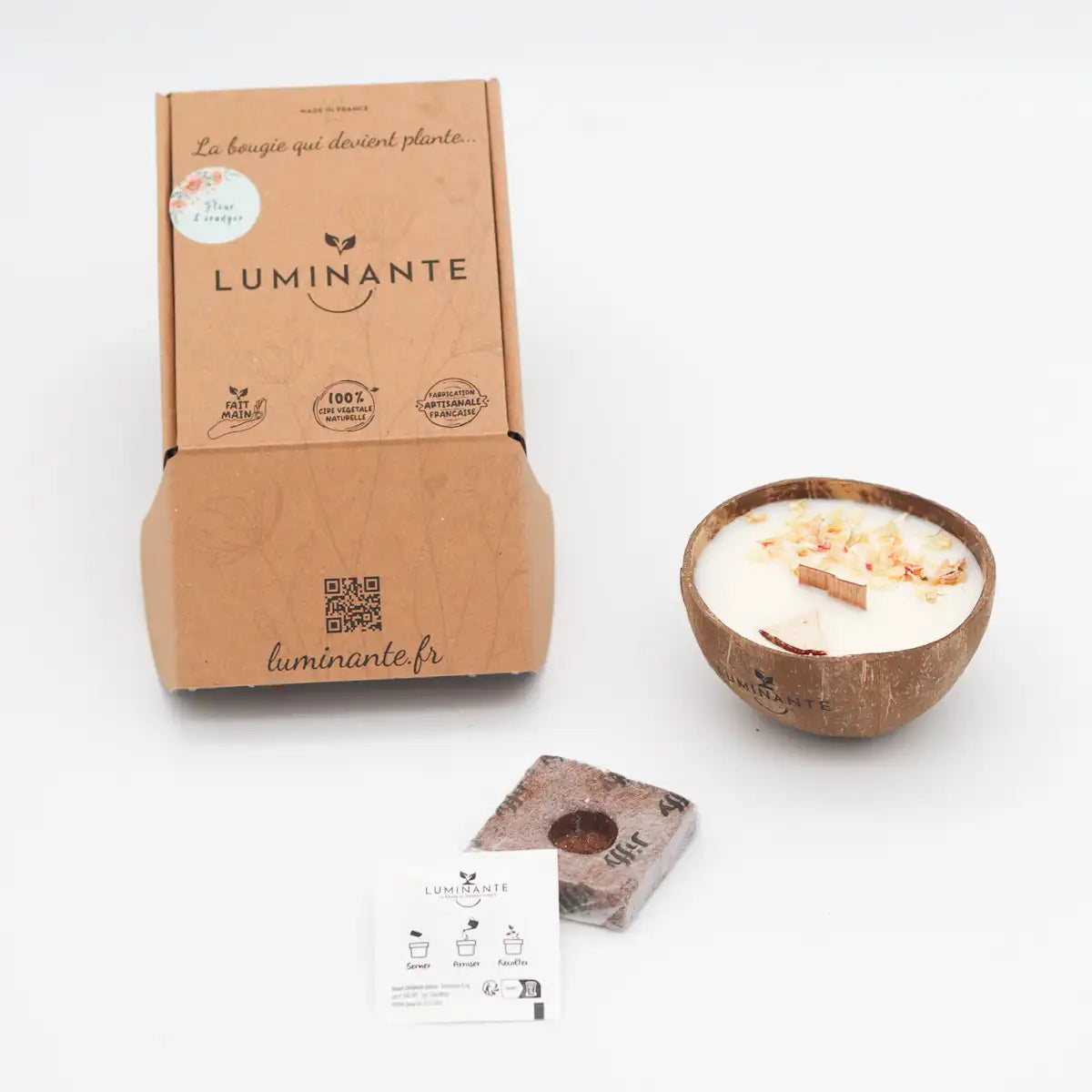 Luminante - Candela profumata mela candita