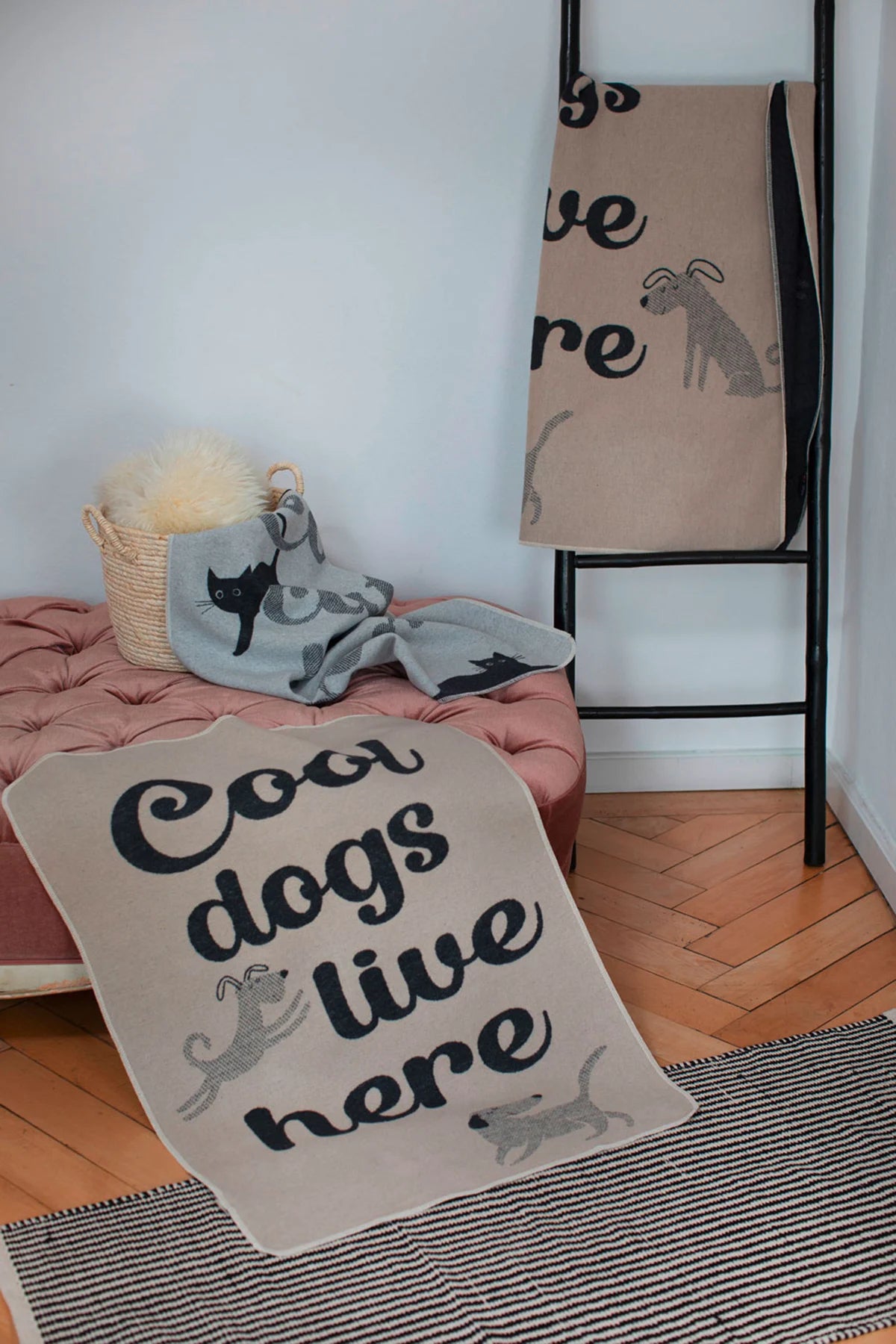 Cool cats live here - Coperta animali