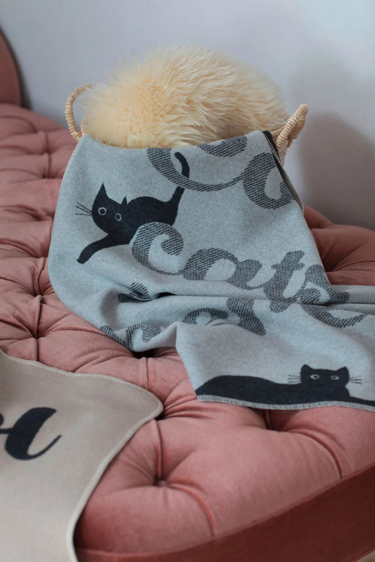 Cool cats live here - Coperta animali