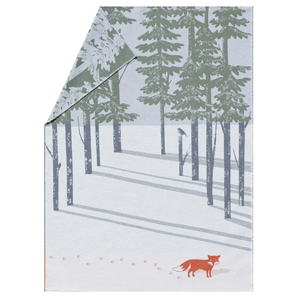 Forest Fox - Plaid
